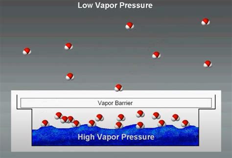 Water Vapor Transmission Assessment 